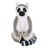 Ring Tailed Lemur