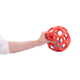 Flexi 2 in 1 Ball