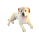 Cream Labrador Size 64cm 4.5kg