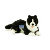 Border Collie - Black and White 62cm