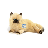 Cream Himalayan cat Size 38cm plush