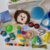 Comprehensive Sensory Kit