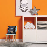 Sensory Cushion- Designer
