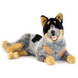 Cattle Dog- 62cm, lying 3.5kg