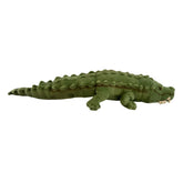 Baby Crocodile weighted 1kg