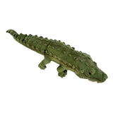 Baby Crocodile weighted 1kg