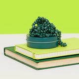 Speks Crags pocket size in 4 colours