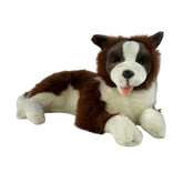 Border Collie - 62cm, lying, chocolate weighted aprox 3kg