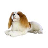 King charge Spaniel 40cm