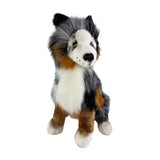 Tricolour Border Collie weight 1.4kg