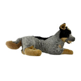 Cattle Dog- 62cm, lying 3.5kg