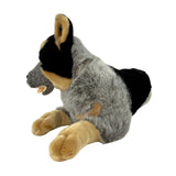 Cattle Dog- 62cm, lying 3.5kg