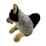 Cattle Dog- 62cm, lying 3.5kg