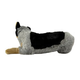 Cattle Dog- 62cm, lying 3.5kg