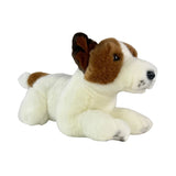 Jack Russel 28cm aprox 200g