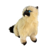 Cream Himalayan cat Size 38cm plush 1kg