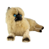 Himalayan Cat - 38cm, lying, 1.2kg