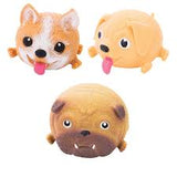 Squish Dog