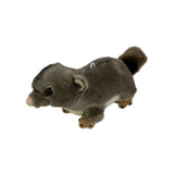 Teeny Tiny Pocket Pals