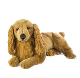 Cocker Spaniel 1.3kg