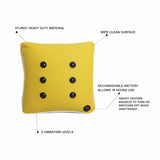 Massage Cushion