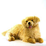Golden Retriever 4+kg  Aprox Large