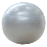 Anti Burst Swiss Balls variety of sizes