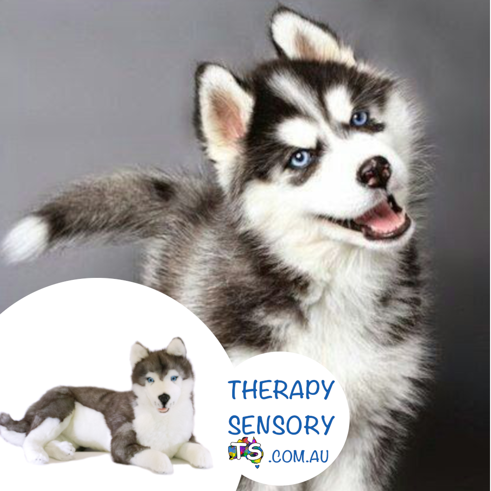 Weighted Lying Husky 60cm