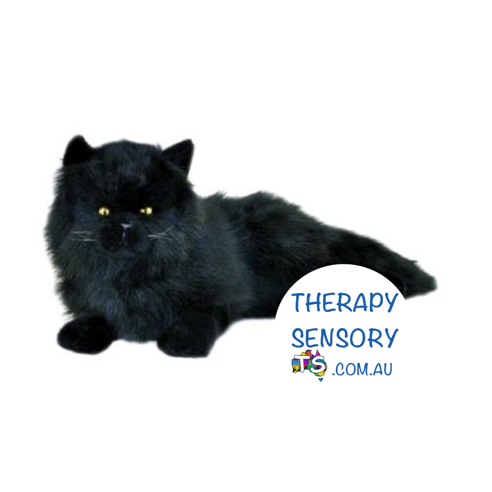 Chantilly cat from TherapySensory.com.au