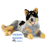 Blue Heeler from TherapySensory.com.au