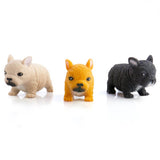 Stretch French Bulldog