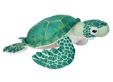 GREEN SEA TURTLE