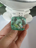 Shell Sensory Squishy Toy Soft