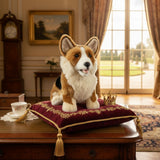 Corgi weighted aprox 1.2kg