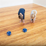 Fitness Dice Set