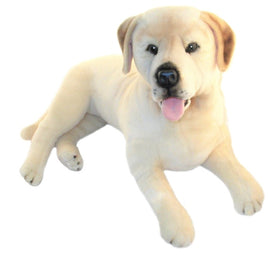 Cream Labrador Size 64cm