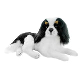 Cavalier King Charles Spaniel - 40cm, lying, 0.8kg