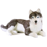 Large Grey Husky