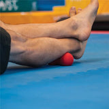 Acupressure  Roller