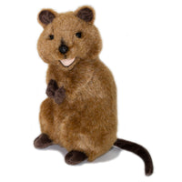 The Quokka  Small Size 21cm