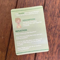 My Zones of Feelings Auslan Edition Flash Cards