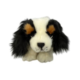 CAVALIER KING CHARLES SPANIEL PUPPY - approx 500g weighted