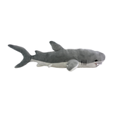 Great White Shark - 48cm