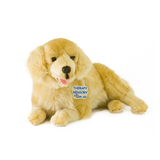 Golden Retriever - 50cm, lying, 1.8kg