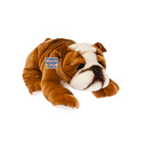 Red and White Bulldog Size 35cm 1.6kg