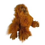 Orangutan - 35cm approx 2kg