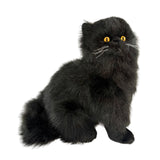 Chantilly Cat - 1kg sitting, weighted approx 1kg