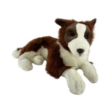 Border Collie - 62cm, lying, chocolate weighted aprox 3kg