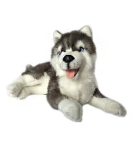 Husky 2.5kg  Weighted