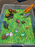 Play Tray - Jungle